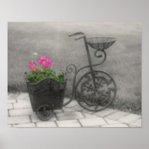 Poster van de Kleur van BW van de Fiets van de blo