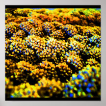 Poster-voedsel/drank-3