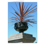 Pot met Rood Plant Wenskaart