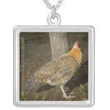 Poulet Bijouterie Fantaisie