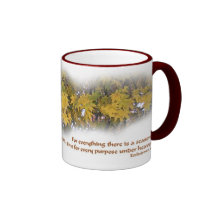 Pour tout il y a une saison tasse