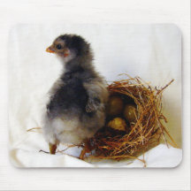 Poussin avec le nid tapis de souris