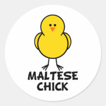 Poussin maltais autocollant