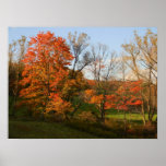 Pracht 3 van de herfst afdruk