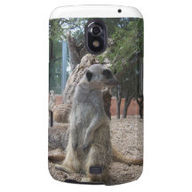 Prachtige Meerkats Galaxy Nexus Hoesjes