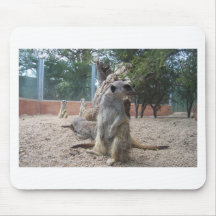 Prachtige Meerkats Muismatten