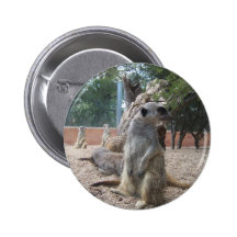 Prachtige Meerkats Speldje