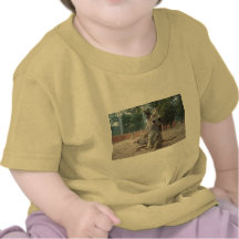 Prachtige Meerkats Tshirt