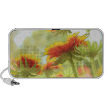 Pré de Gallardia pendant l'été Sun Haut-parleur Ordinateur Portable