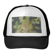 Prince de grenouille casquette