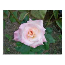 Princesse Carte Postale