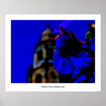 Princesse Flower (luminescente) Posters