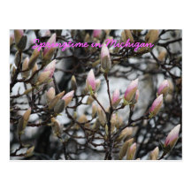 Printemps au Michigan Cartes Postales