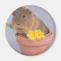 proefkonijn in een bloempot koelkast magneetje
