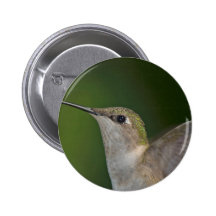 Profiel Speld Button
