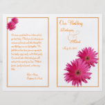 Programme rose de mariage de marguerite de Gerbera Prospectus En Couleur