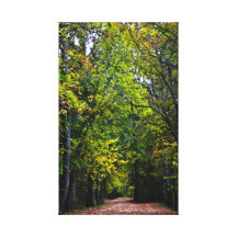 Promenade d'automne en bas de la route de campagne toile tendue