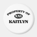 Propriété de KAITLYN Magnets Pour Réfrigérateur