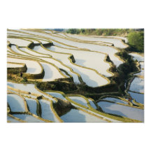 Province de l'Asie, Chine, Yunnan, comté de Yuanya Impression Photo