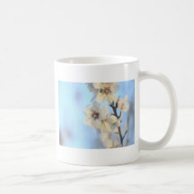 Prune folle tasse à café
