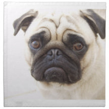 Pug de Reeks van de Hond van Vier Servetten