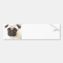 Pug de Sticker van de Bumper van de Hond Bumpersticker