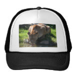 Puma Casquette