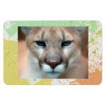 Pumas Magnets En Vinyle