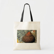 Punctulata Shell van Maurea Canvas Tassen