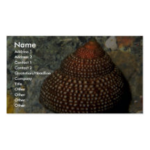 Punctulata Shell van Maurea Visitekaart Sjablonen