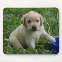 puppy-laboratorium-HD-behang Muismatten