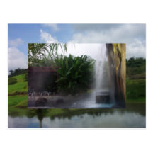 Pura Vida Costa Rica Wenskaarten