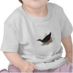 Purple Swamphen Tee Shirt