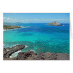 Rabbit Island Greeting Card