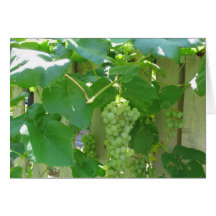 Raisins aspermes blancs doux et juteux cartes de vœux