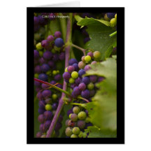 Raisins colorés carte de vœux