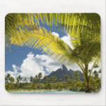 Raisons et scenics de nouveau St Regis de luxe Tapis De Souris