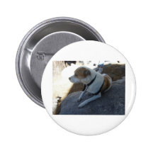 Ralphy Badges Avec Agrafe
