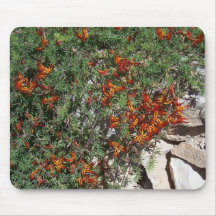 Rampant Tapis De Souris