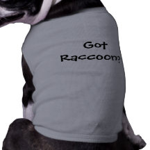 Raton laveur obtenu ? manteaux pour chien
