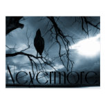 Raven - plus jamais rayons de soleil et bleu d'arb carte postale