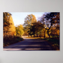 RAYONNEMENT D'AUTOMNE POSTERS
