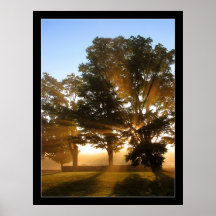 Rayons légers 4 poster