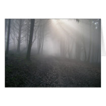 Rayons par le brouillard