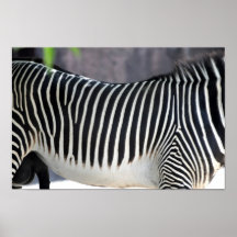 Rayures et plus de rayures posters