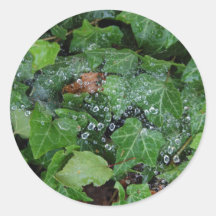 Receveur de goutte de pluie adhésif