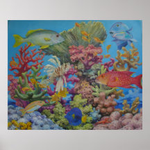 Récif de la Mer Rouge Affiches