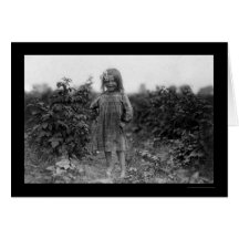 Récolteuse fière 1910 de baie de fille carte de vœux