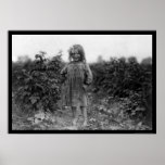 Récolteuse fière 1910 de baie de fille posters