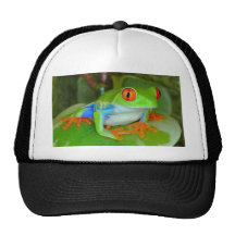 red_eye_tree_frog casquette de camionneur